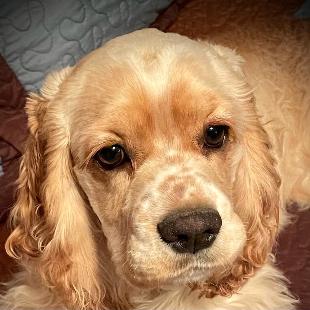 Meet your Posher, Gabrielle